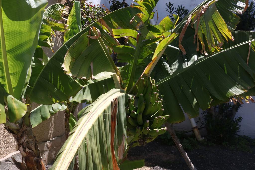 3C Fuerteventura Villa Costa Calma Dış mekan fotoğraf